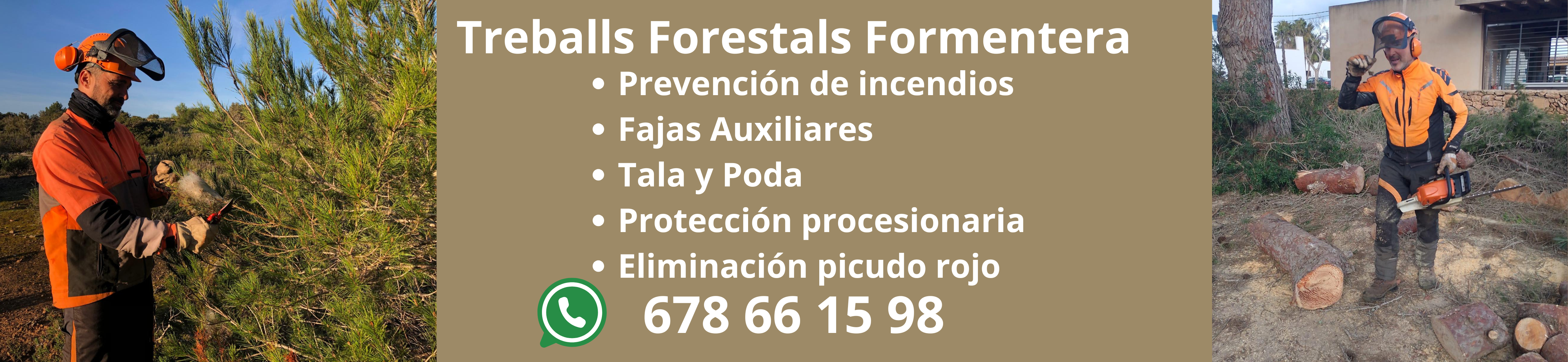 Treballs Forestals Formentera